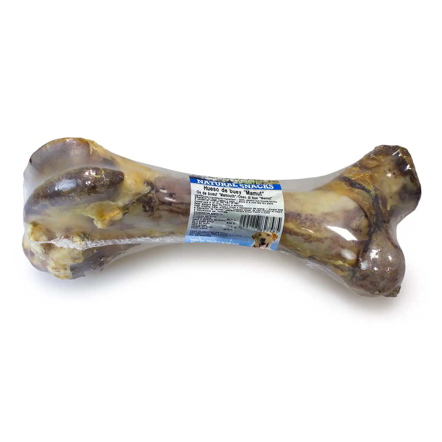 Hueso de buey "Mamut" - Imagen 2