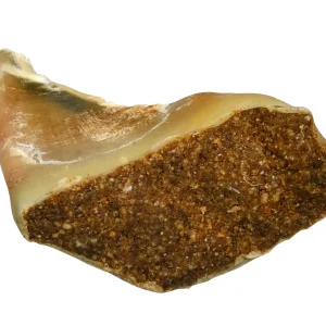 PEZUÑAS BUEY RELLENAS 1 UND